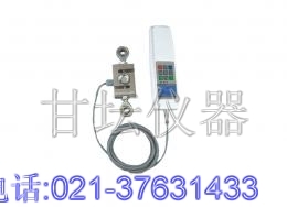 泰安數顯推拉力計,泰安指針式推拉力計,上海泰安拉力計價格